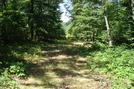 A. T. North Of Mont Alto Road, P A Rte. 233, P A, 07/03/10 by Irish Eddy in Views in Maryland & Pennsylvania