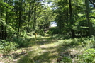 A. T. North Of Mont Alto Road, P A Rte. 233, P A, 07/03/10 by Irish Eddy in Views in Maryland & Pennsylvania