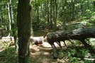 A. T. Ascent Of Rocky Mountain, P A, 07/03/10 by Irish Eddy in Views in Maryland & Pennsylvania