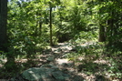 Side Trail To Rocky Mountain Shelter, P A, 07/03/10