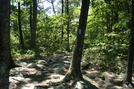 Side Trail To Rocky Mountain Shelter, P A, 07/03/10 by Irish Eddy in Views in Maryland & Pennsylvania