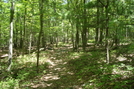 A. T. Descent From Rocky Mountain, P A, 07/03/10 by Irish Eddy in Views in Maryland & Pennsylvania