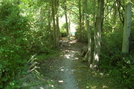 A. T. At Caledonia State Park, P A, 07/03/10 by Irish Eddy in Views in Maryland & Pennsylvania