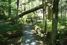 A. T. At Caledonia State Park, P A, 07/03/10 by Irish Eddy in Views in Maryland & Pennsylvania