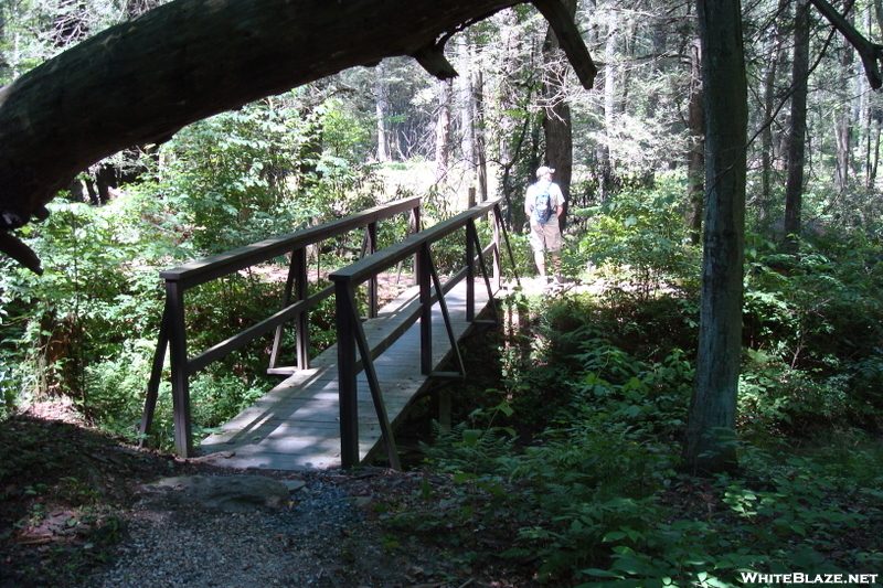 A. T. At Caledonia State Park, P A, 07/03/10