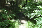 A. T. At Caledonia State Park, P A, 07/03/10 by Irish Eddy in Views in Maryland & Pennsylvania