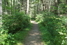 A. T. At Caledonia State Park, P A, 07/03/10