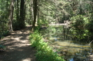 A. T. At Caledonia State Park, P A, 07/03/10