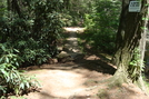 A .t. At Caledonia State Park, P A, 07/03/10 by Irish Eddy in Views in Maryland & Pennsylvania