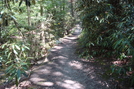 A. T. At Conococheague Creek, Caledonia S. P., P A, 07/03/10