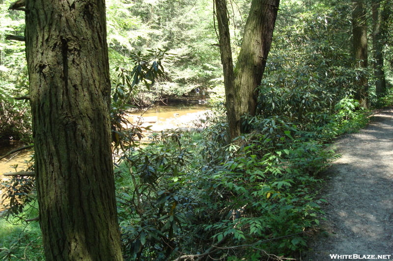 A. T. At Conococheague Creek, Caledonia S. P., P A, 07/03/10