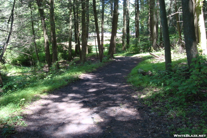 A. T. At Conococheague Creek, Caledonia S. P., P A, 07/03/10