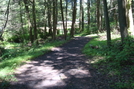 A. T. At Conococheague Creek, Caledonia S. P., P A, 07/03/10