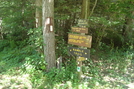 A. T. And Ramble Trail Markers, Caledonia S. P., P A, 07/03/10