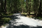 A. T. At Caledonia State Park, P A, 07/03/10 by Irish Eddy in Views in Maryland & Pennsylvania