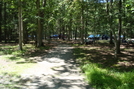 A. T. At Caledonia State Park, P A, 07/03/10 by Irish Eddy in Views in Maryland & Pennsylvania