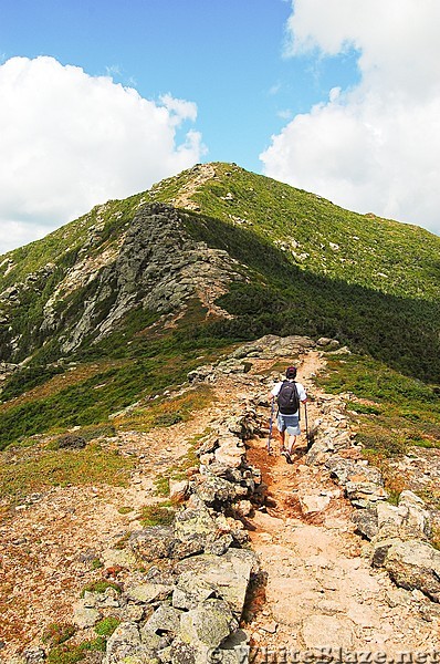 The AT heading north to Mt Lincoln.