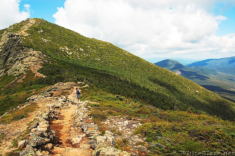 The AT heading toward Mt Lincoln...