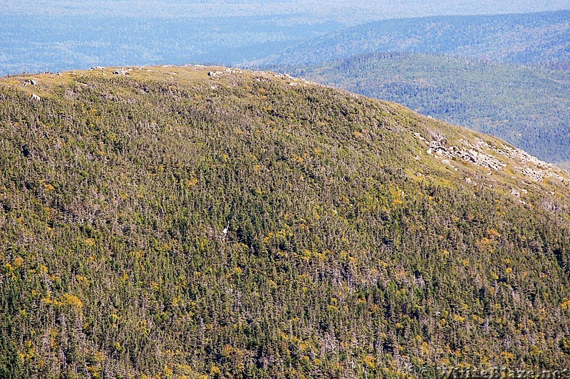 Fort Mountain, Baxter Park