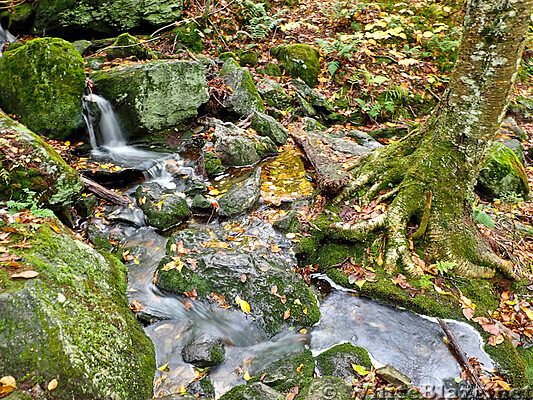 Is it a gurgling stream or a babbling brook?