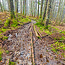 Vermont, sometimes called VerMud. by Funkmeister in Long Trail