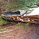 Long Trail Plane crash