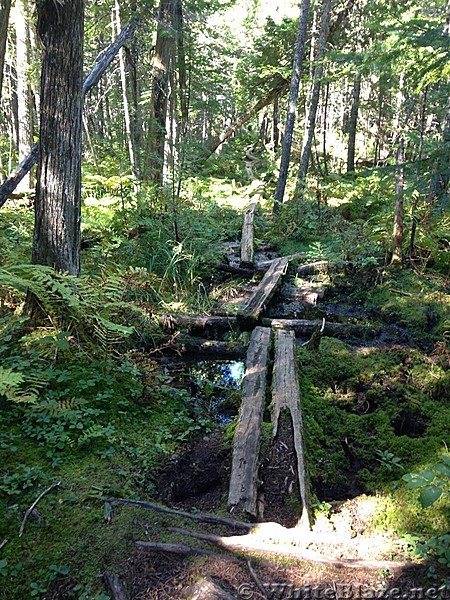 100 mile wilderness to Katahdin