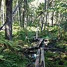 100 mile wilderness to Katahdin by Biggie Master in Members gallery