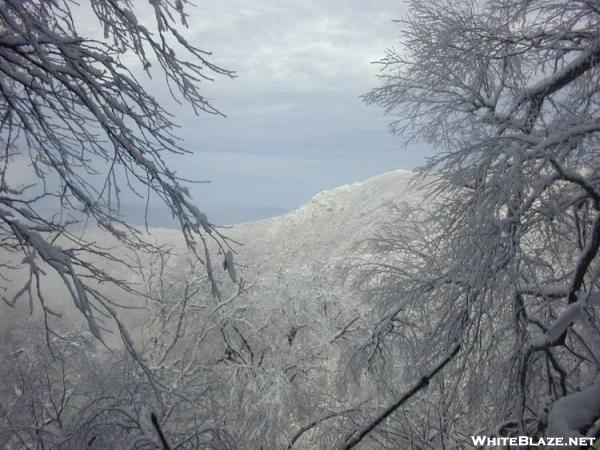 View of Mt Cammerer