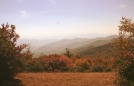 Spence Field by Tn Bandit in Trail & Blazes in North Carolina & Tennessee