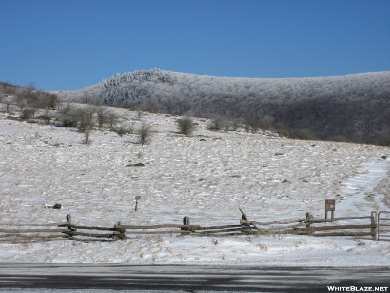 Brier Ridge