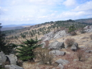 Rhododendron Gap by JJJ in Trail & Blazes in Virginia & West Virginia