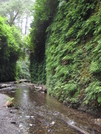 Fern Canyon, Prairie Creek Sp, California by JJJ in Special Points of Interest