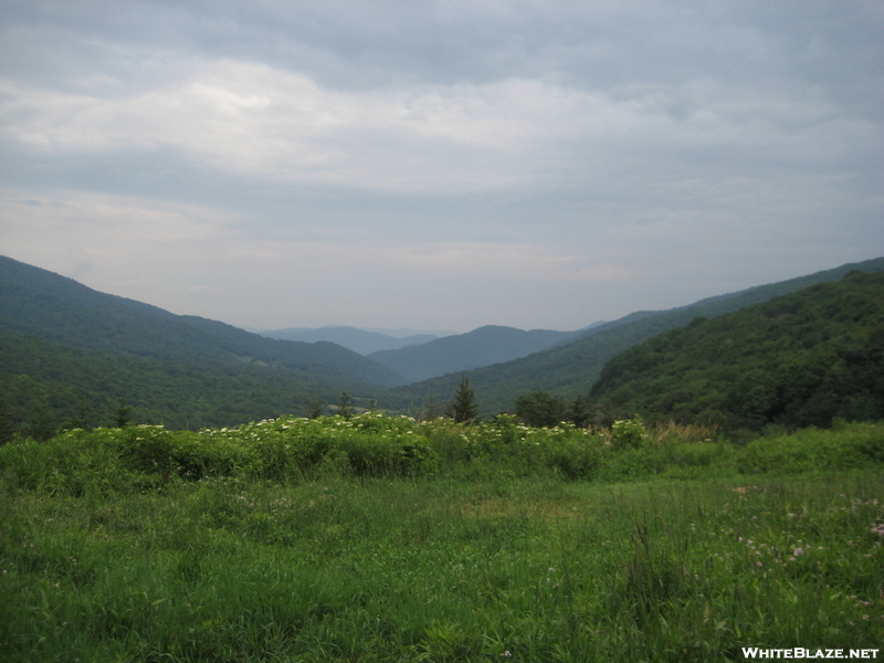 Overmountain Shelter Area