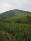 Bradley Gap by JJJ in Trail & Blazes in North Carolina & Tennessee