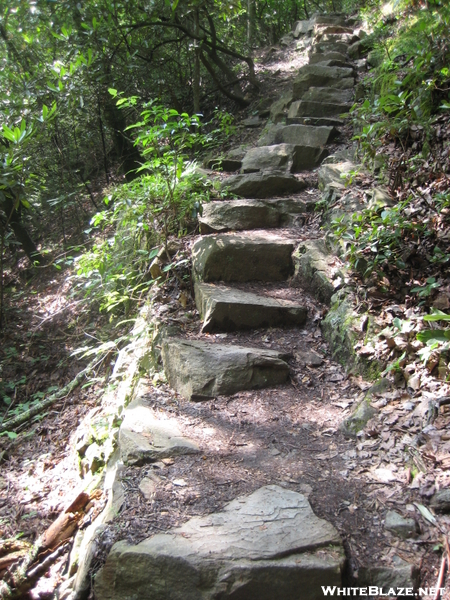 Laurel Falls Stairs