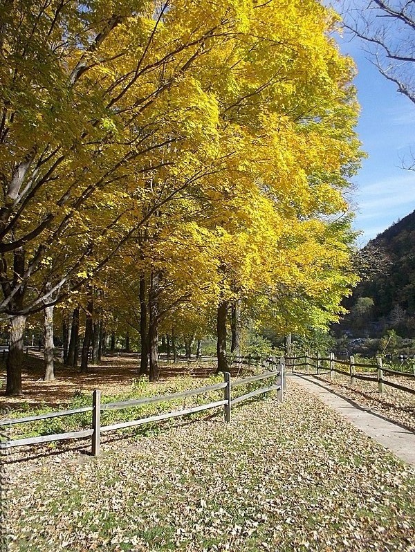 Fall in Delaware Water Gap National Recreation Area in New Jersey