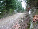 Pacific Northwest Trail White Blaze In Washington