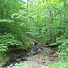 West Rim Trail-PA