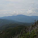 New Hampshire Whites