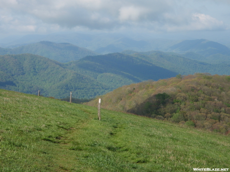 Max Patch