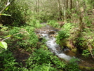 Max Patch To Hot Springs by Squinty in Views in North Carolina & Tennessee