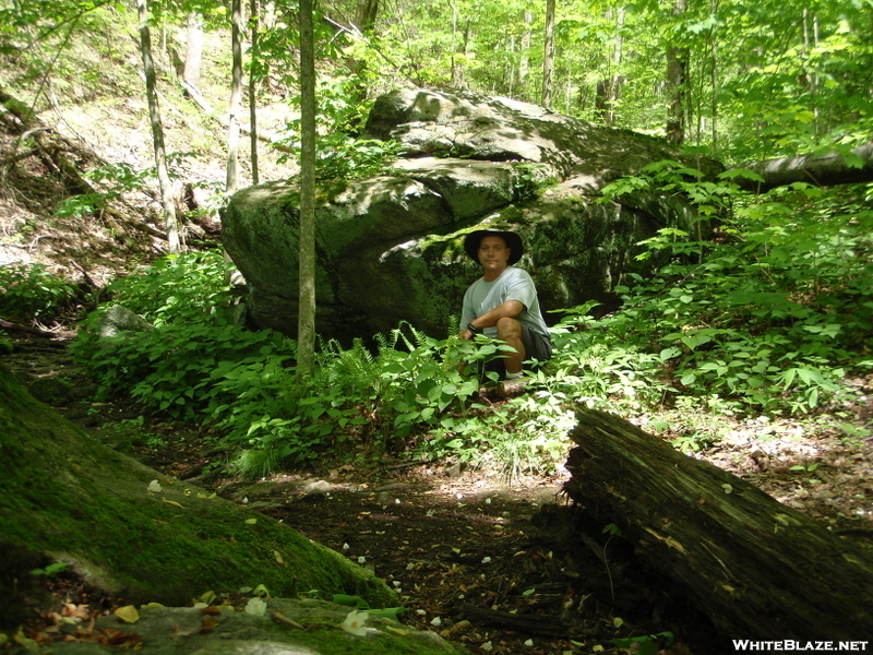 Max Patch To Hot Springs