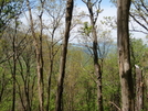 Max Patch To Hot Springs