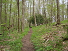 Max Patch To Hot Springs