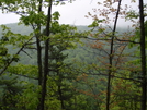 Max Patch To Hot Springs