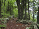 Max Patch To Hot Springs by Squinty in Views in North Carolina & Tennessee