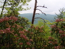 Max Patch To Hot Springs