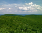 Mt.frissel Ridge 2