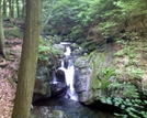 Sages Ravine Falls by joeboxer in Other Trails